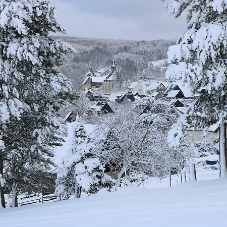 Privatunterkunft Altes Brauhaus Steinbach Steinbach (Saxony)