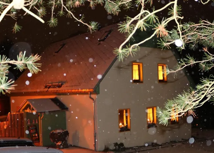 Ubytování v soukromí Altes Brauhaus Steinbach Steinbach (Saxony)