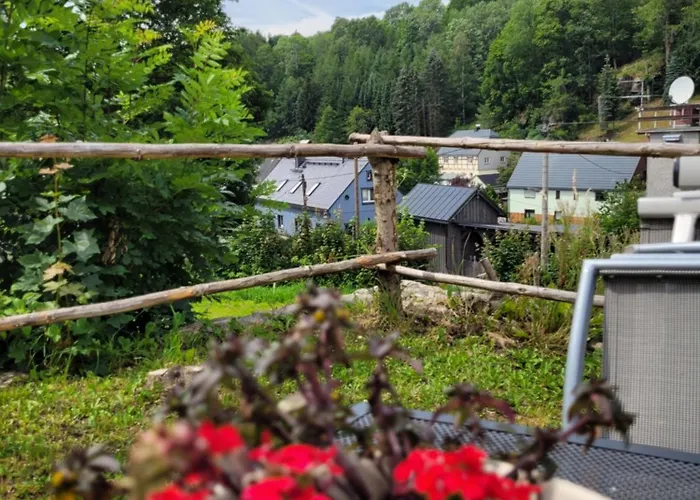 Altes Brauhaus Steinbach Ubytování v soukromí Steinbach (Saxony)