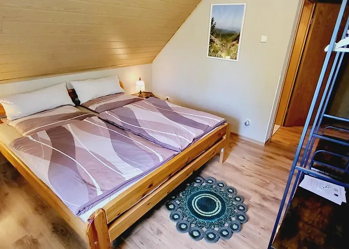 Ubytování v soukromí Altes Brauhaus Steinbach Steinbach (Saxony)