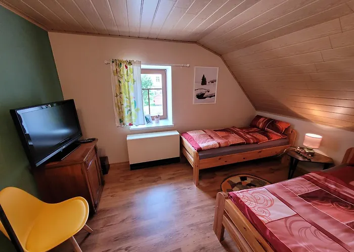 Altes Brauhaus Steinbach Ubytování v soukromí *