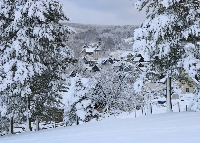 Ubytování v soukromí Altes Brauhaus Steinbach Steinbach (Saxony)
