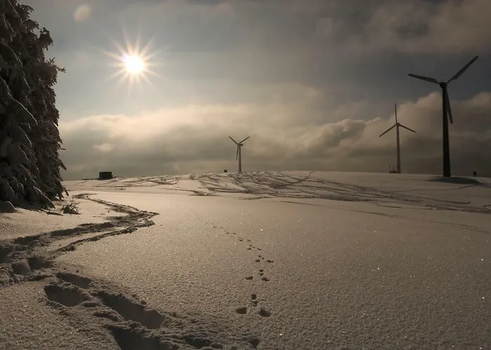 Altes Brauhaus Steinbach Steinbach (Saxony)