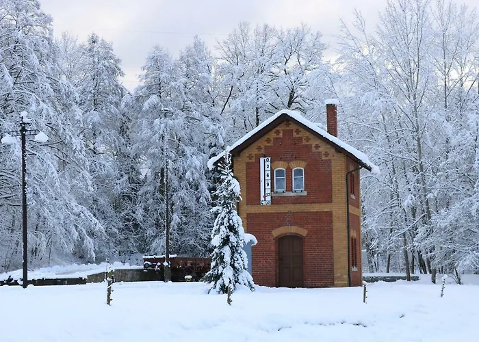 Ubytování v soukromí Altes Brauhaus Steinbach Steinbach (Saxony)